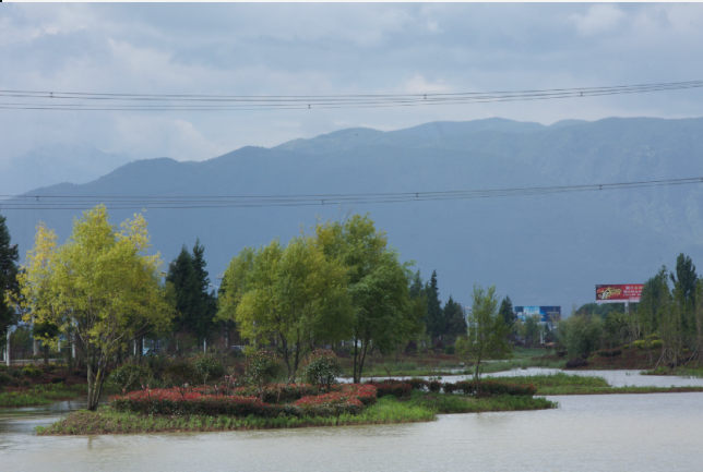 海綿城市1.png